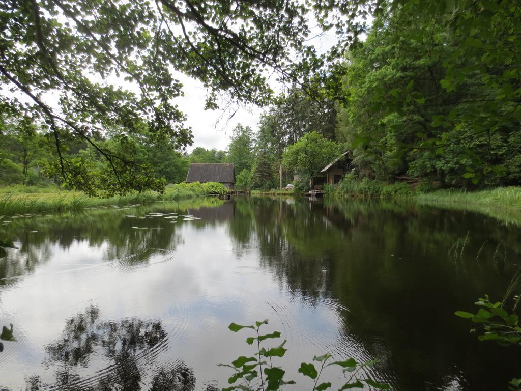 Villa Mizarai Mill House Druskininkai Esterno foto